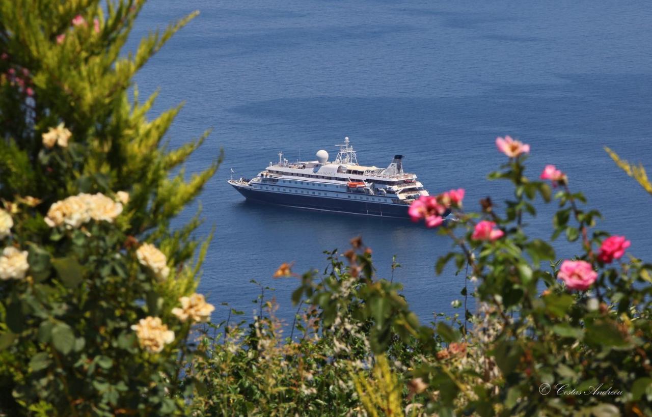 Anemi Studios Skopelos Exteriér fotografie